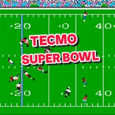 Play Tecmo Super Bowl game