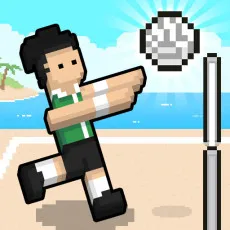 Play Volley Random game